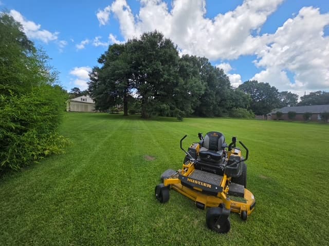 Zero-turn mower striping lawn under large oak trees Louisiana