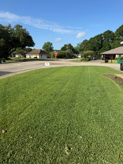 Striped corner lawn along neighborhood street Louisiana