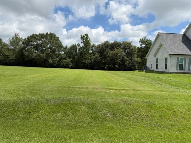 Large backyard freshly mowed behind white farmhouse Louisiana