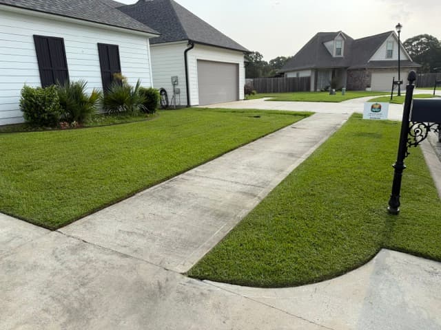 Manicured lawn with clean edges along driveway, white farmhouse Louisiana
