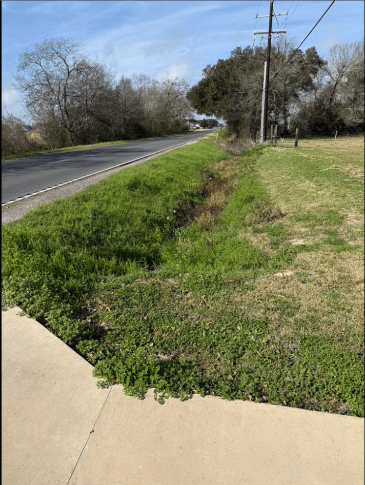 Overgrown drainage ditch before cleanup in Louisiana
