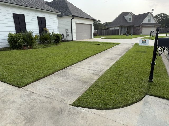 A freshly cut lawn with razor-sharp edges along the driveway and walkway of a white Louisiana home